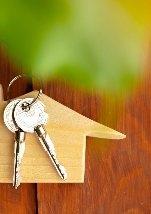 Wooden house model miniature and house keys